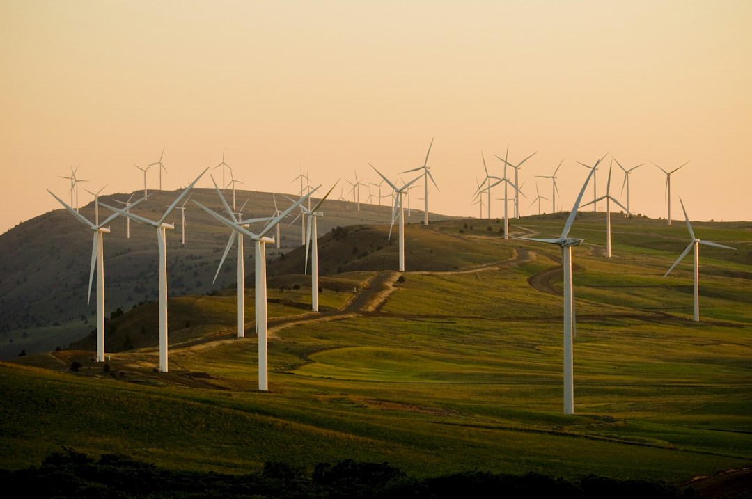 The Ultimate Guide To Using Clean Energy for Your Home 2 img