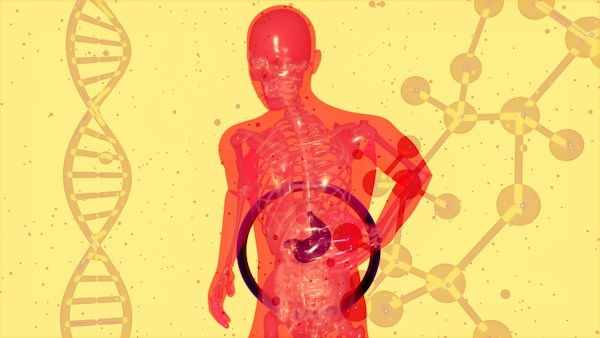 The Physical Consequences of Binge Drinking 1 img