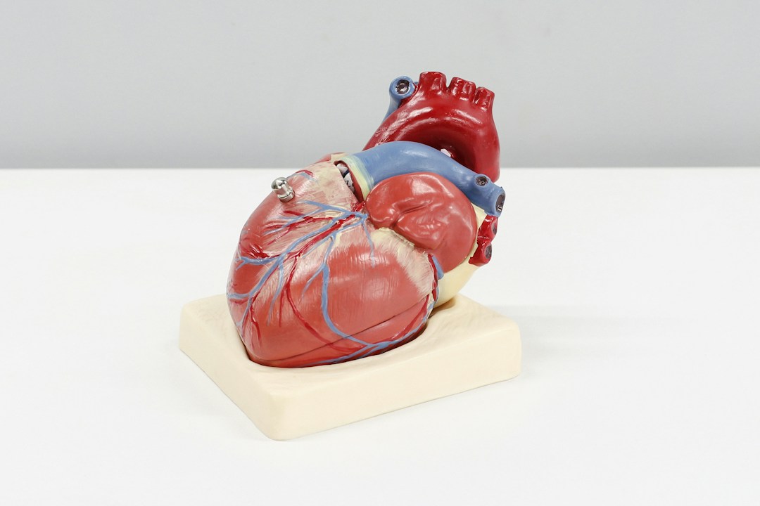 The Latest Advances in Cardiac Care 1 img